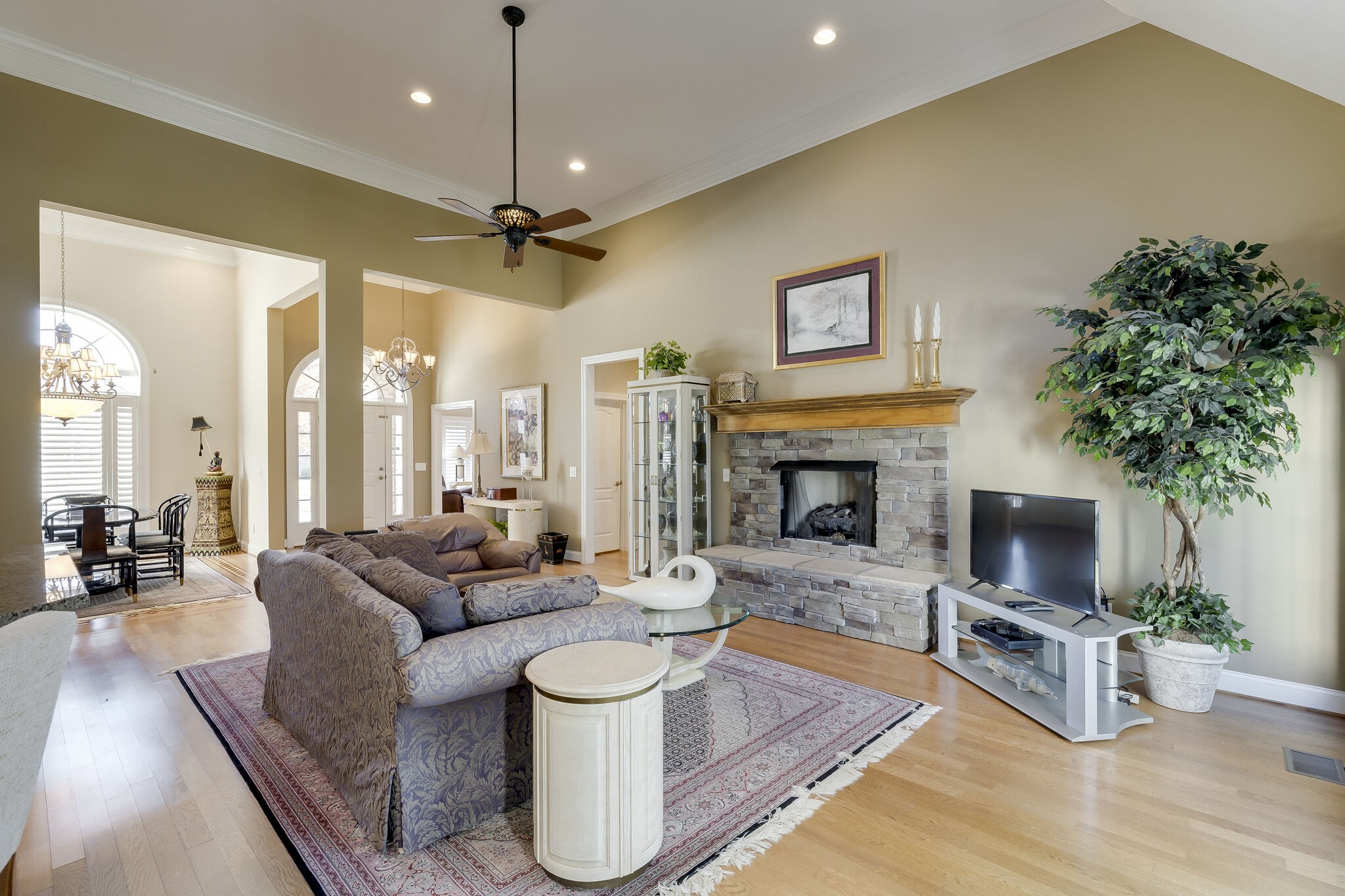 69 Blue Ridge Trace Hendersonville, TN 37075 - Photo 10 of 50 a living room with furniture a fireplace and a potted plant
