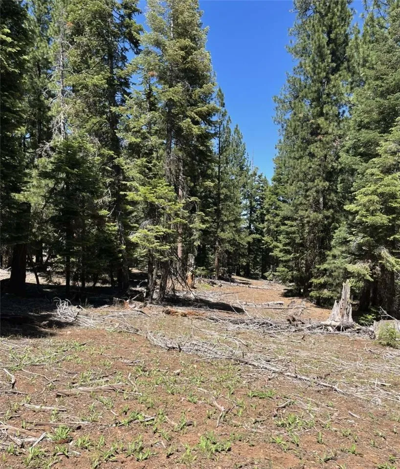 0 Range Alturas, CA 96101 - Photo 11 of 39 Gallery Image 11