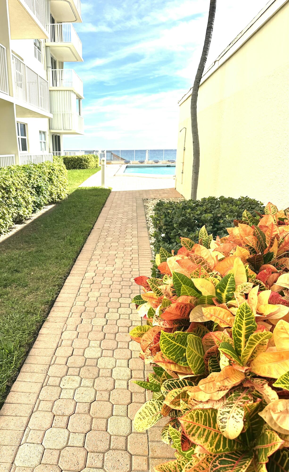 3540 South Ocean Boulevard, Unit 409 South Palm Beach, FL 33480 - Photo 16 of 28 IMG_3500