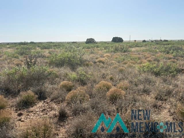 48 State Road 203 Fort Sumner, NM 88119 - Photo 15 of 17 Gallery Image 15