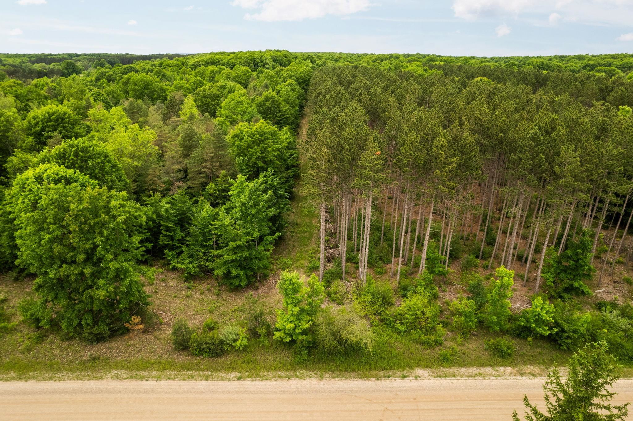 Parcel E St Johns Road Interlochen, MI 49643 - Photo 16 of 39