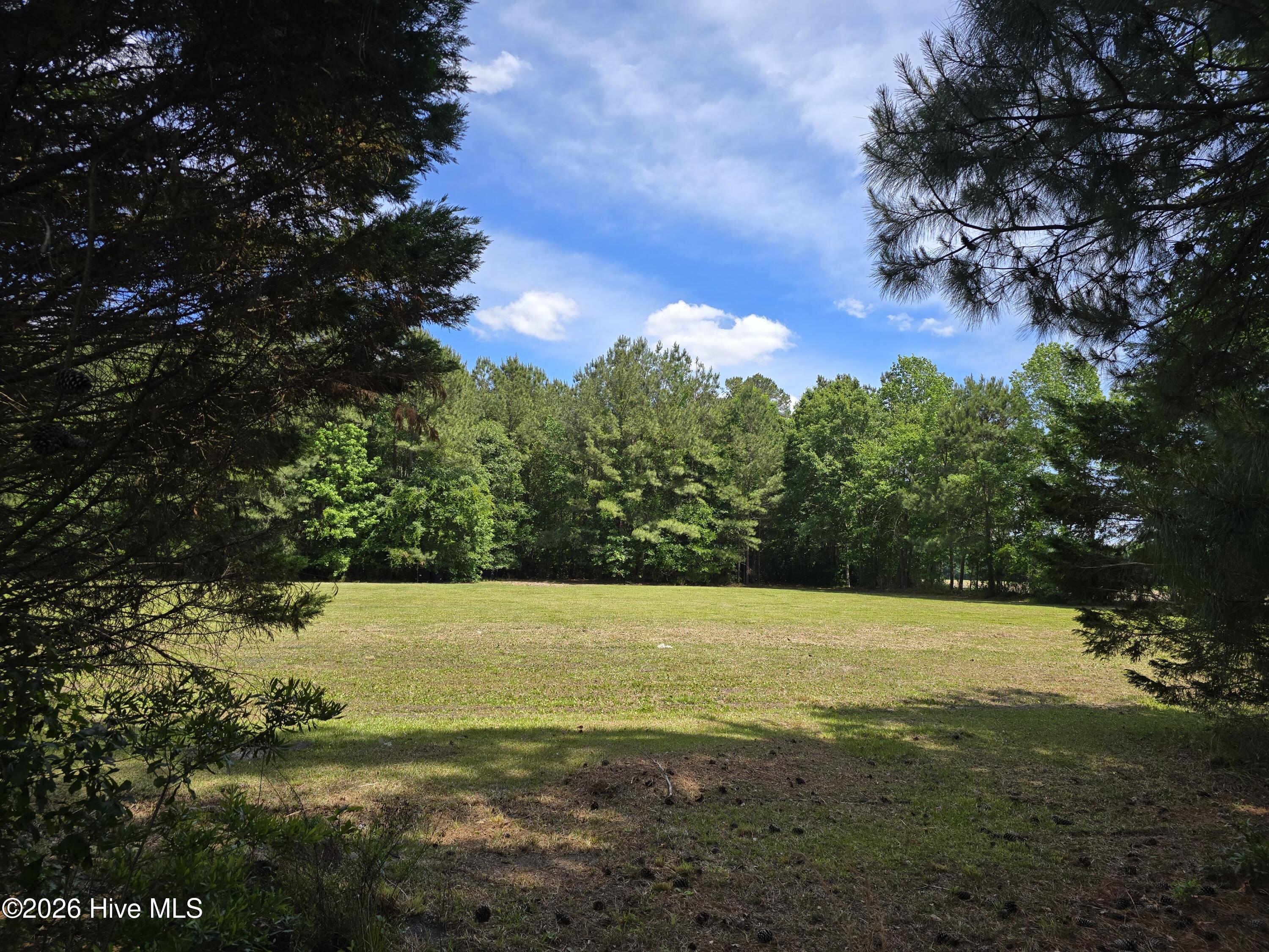 1140 Tart Road Clarkton, NC 28433 - Photo 23 of 25 20260505_141551
