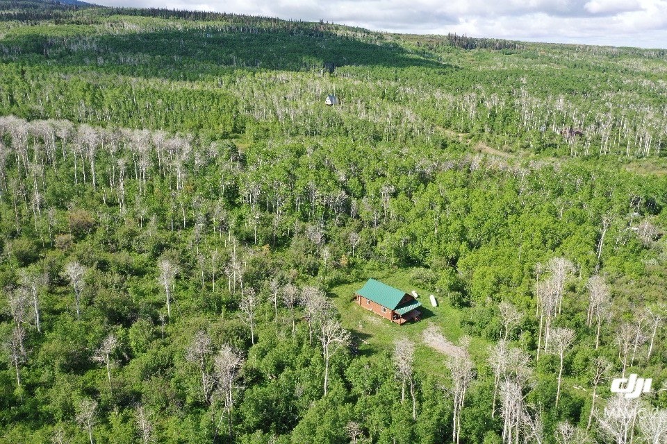 80 Sapling Lane Craig, CO 81625 - Photo 1 of 20 a view of a garden with a lake