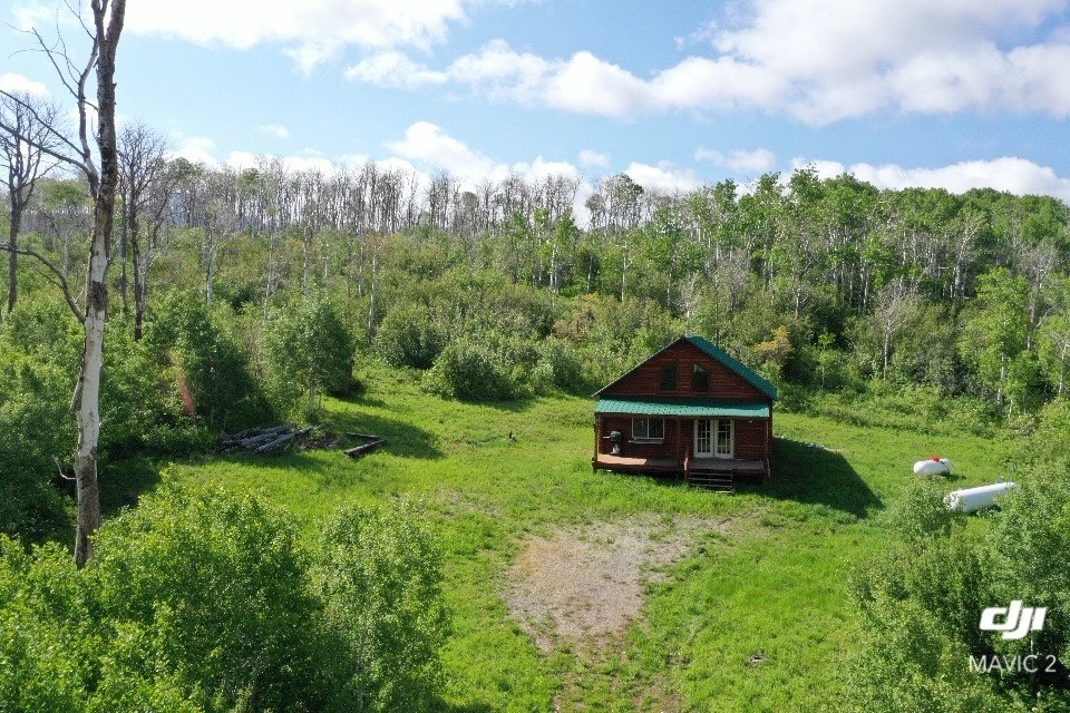 80 Sapling Lane Craig, CO 81625 - Photo 3 of 20 a view of a garden with large trees