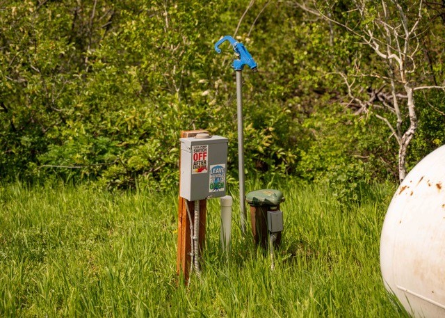 80 Sapling Lane Craig, CO 81625 - Photo 4 of 20 a view of a garden with plants