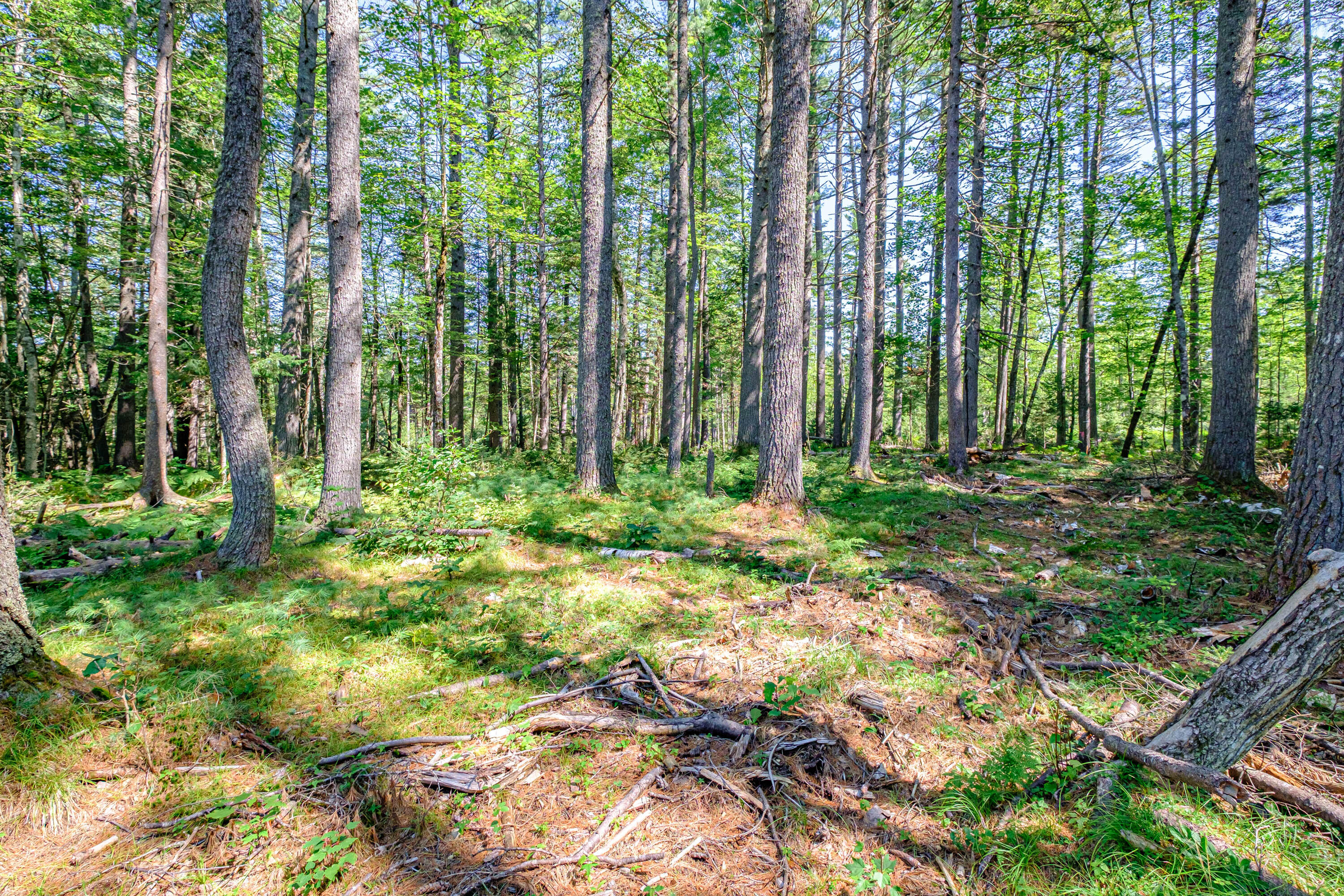 349 East Andover Road East Andover, ME 04226 - Photo 10 of 35 20230831gp-62009
