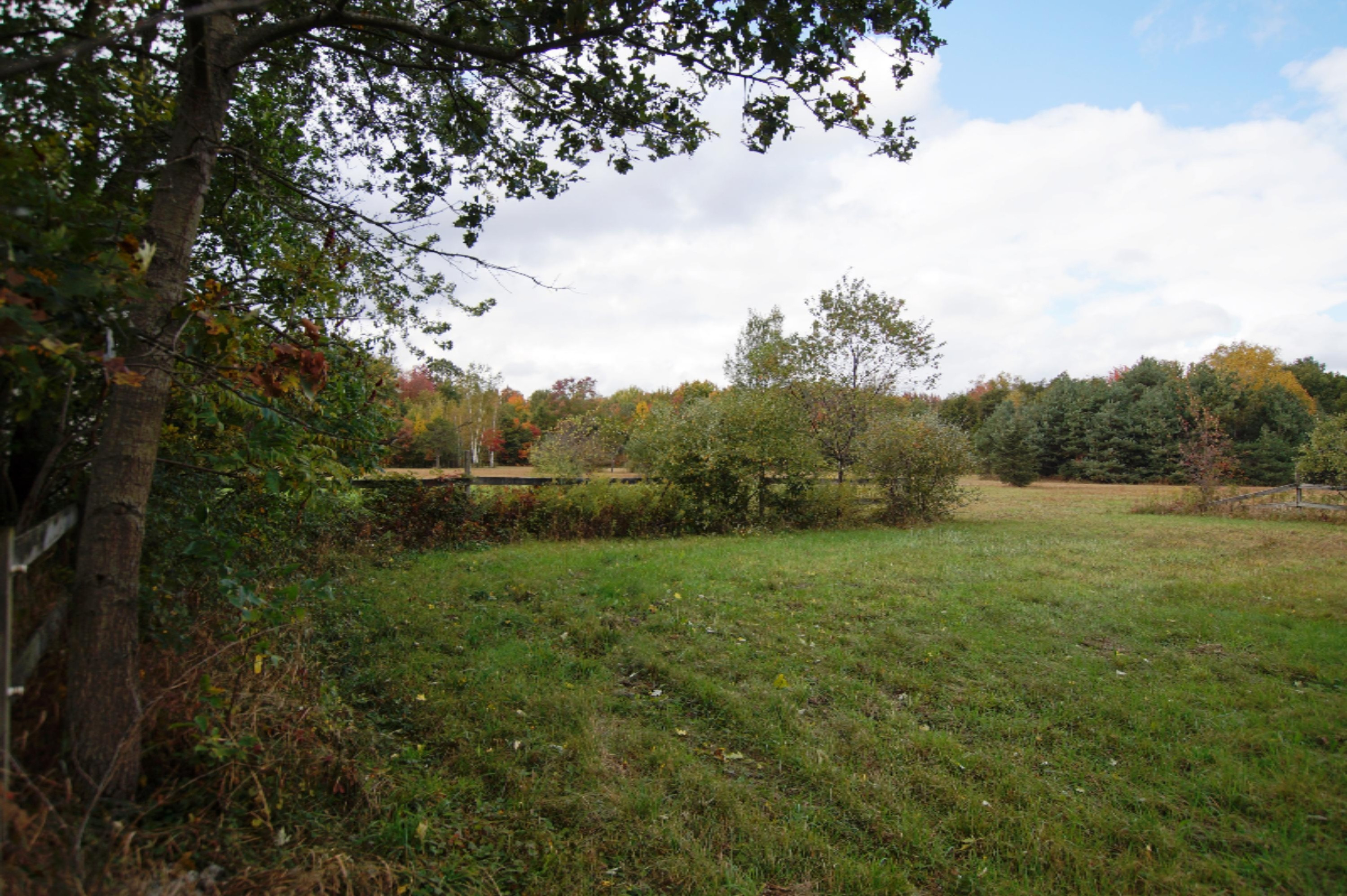 1347 South Mill Iron Road Muskegon, MI 49442 - Photo 4 of 16 _DSC6521