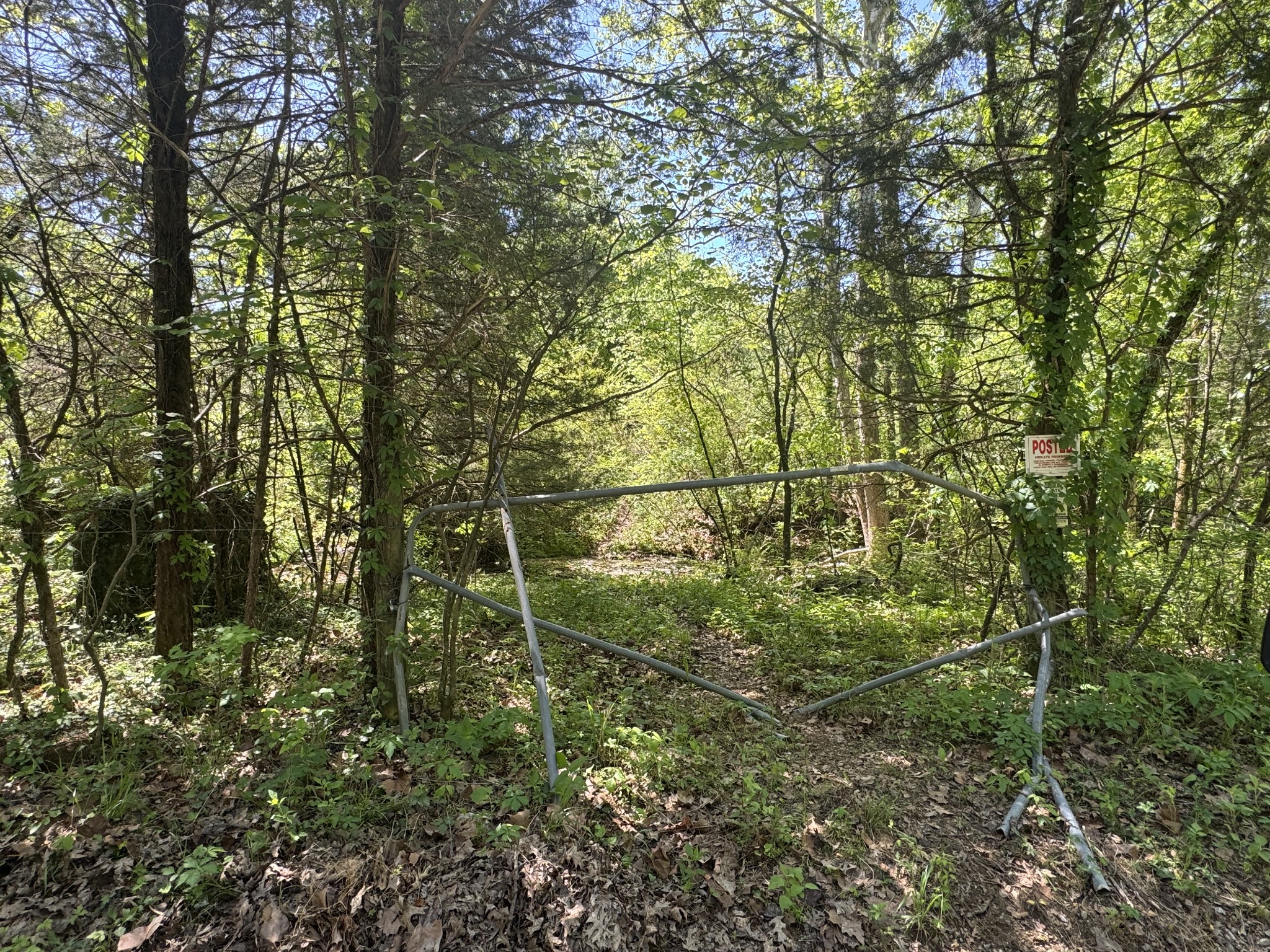 197 Blue Smith Road Petersburg, TN 37144 - Photo 16 of 29 a view of a yard