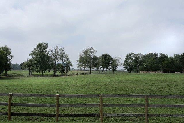 752 Kingston Road Lexington, KY 40505 - Photo 23 of 23 Photo 23