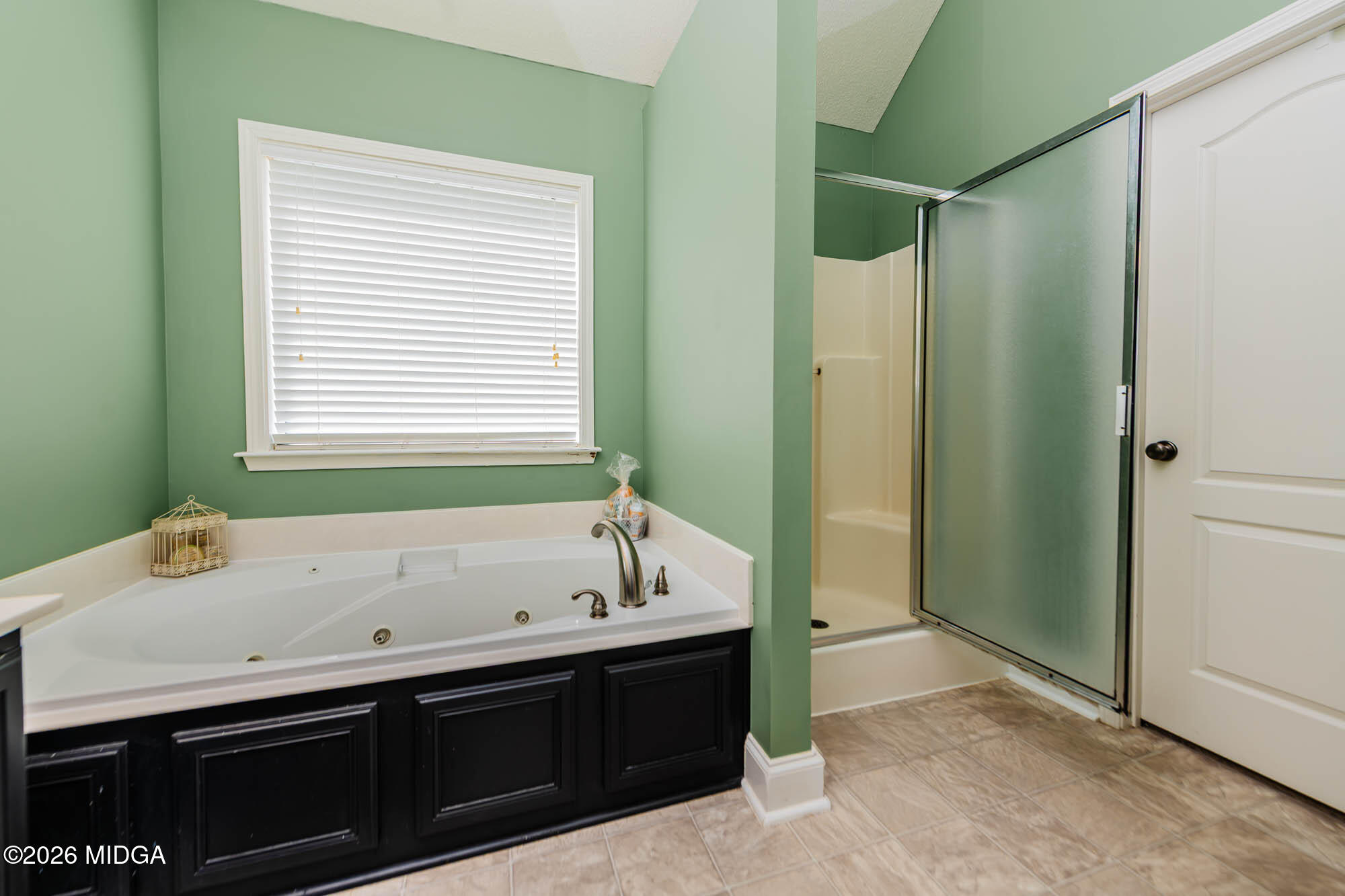 100 Crystal Ridge Circle Byron, GA 31008 - Photo 18 of 36 DSC_1659