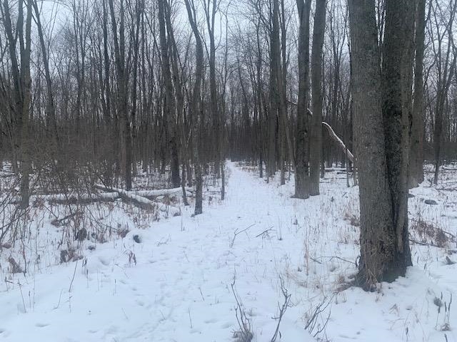 Nka Crawford Road Twining, MI 48766 - Photo 9 of 9