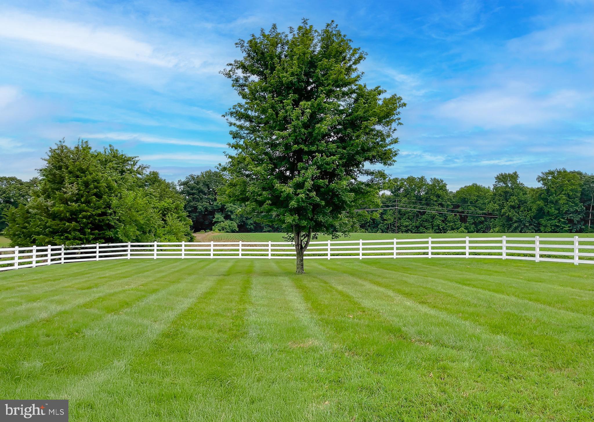 47602 Park Hall Road Park Hall, MD 20667 - Photo 14 of 82 beautiful fenced in backyard