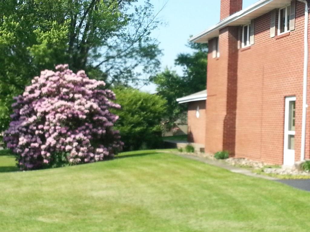 702 Stutzman Road Indiana, PA 15701 - Photo 23 of 23 Yard