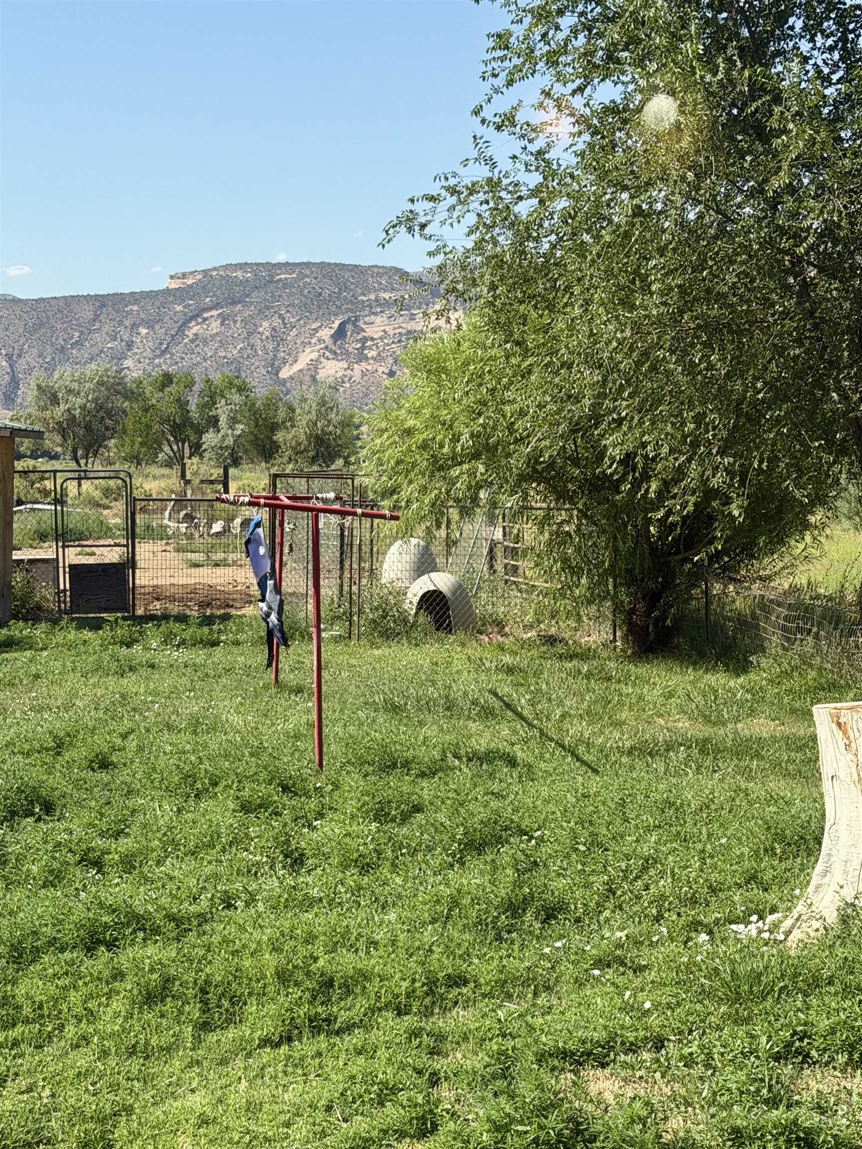 1865 Frontage Road Fruita, CO 81521 - Photo 25 of 28