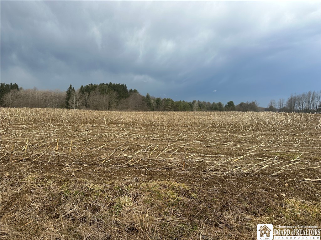 Vl Concord Road Springville, NY 14141 - Photo 1 of 1