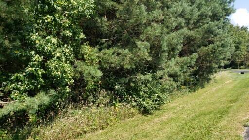 Lt2 Walnut Road Lisbon, WI 53089 - Photo 2 of 5 20230314153527082355000000-o