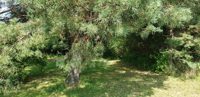 $174,995 | Lt2 Walnut Road, Lisbon, WI 53089