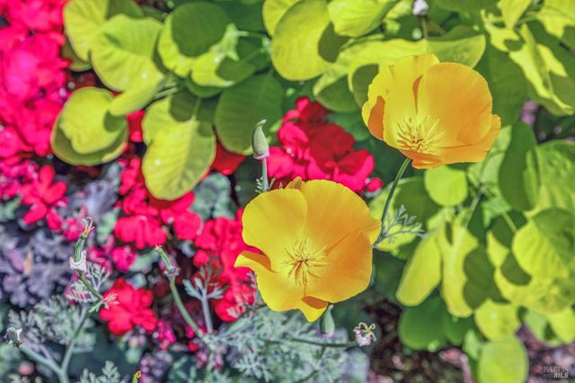 $1,399,000 | 659 Las Colindas Road, San Rafael, CA 94903