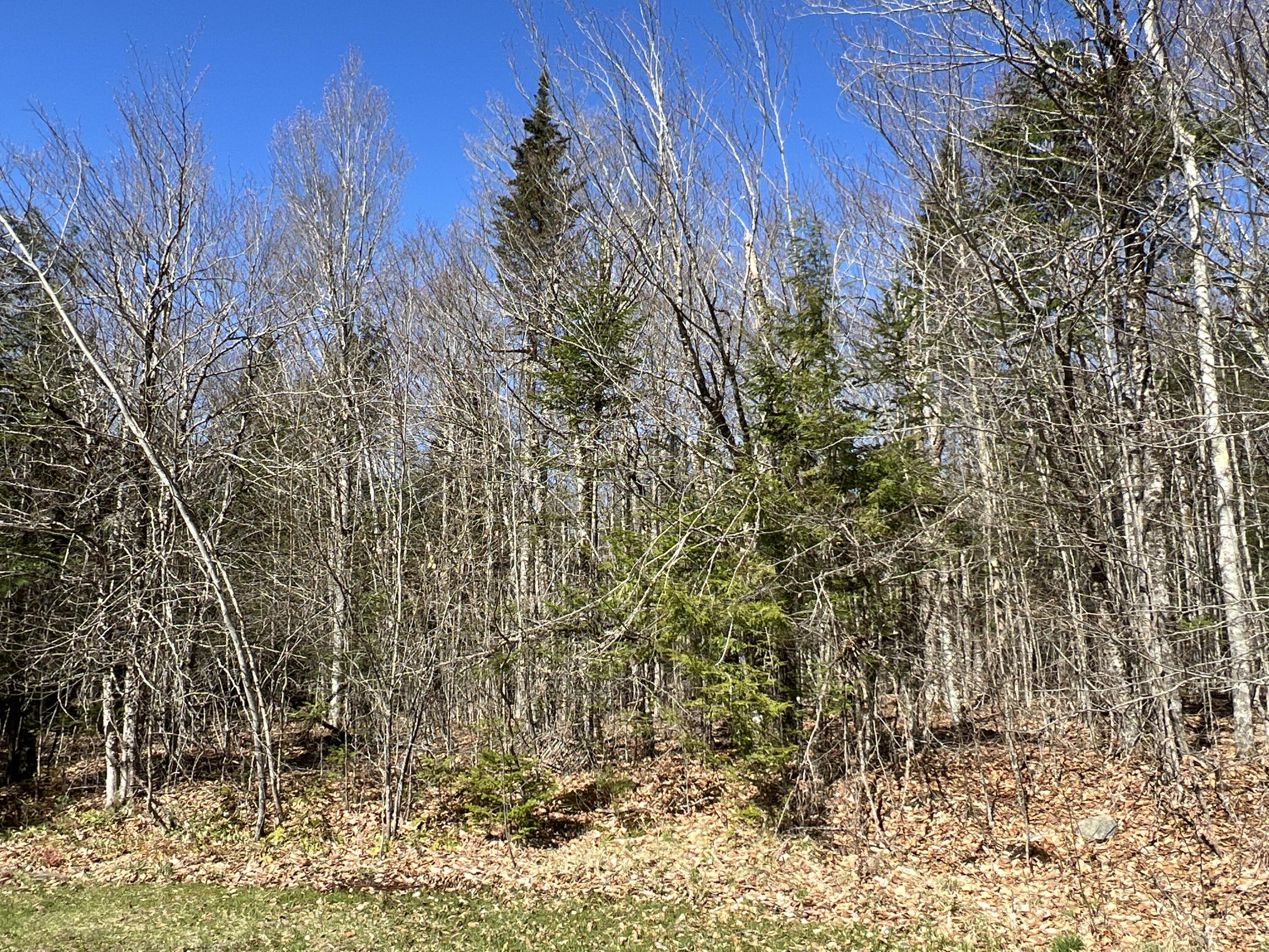 38 Deer Rdg Lane Levant, ME 04456 - Photo 53 of 58 IMG_3128