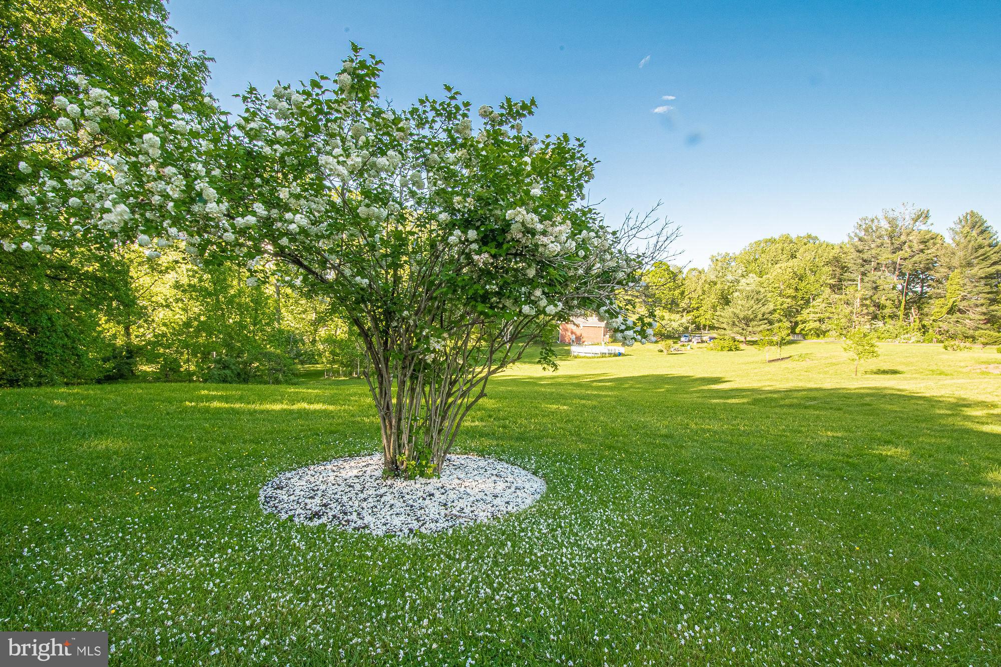 147 Rollins Ford Road Amissville, VA 20106 - Photo 27 of 73