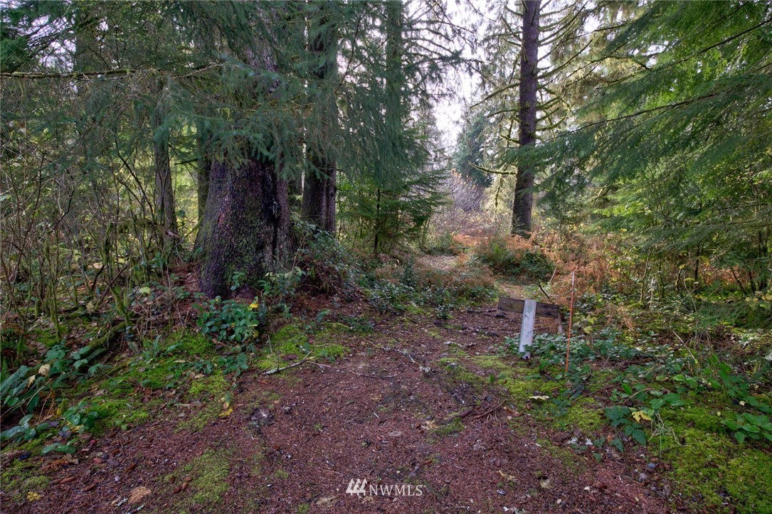 2221 East Hoquiam Road Hoquiam, WA 98550 - Photo 12 of 38 Gallery Image 12