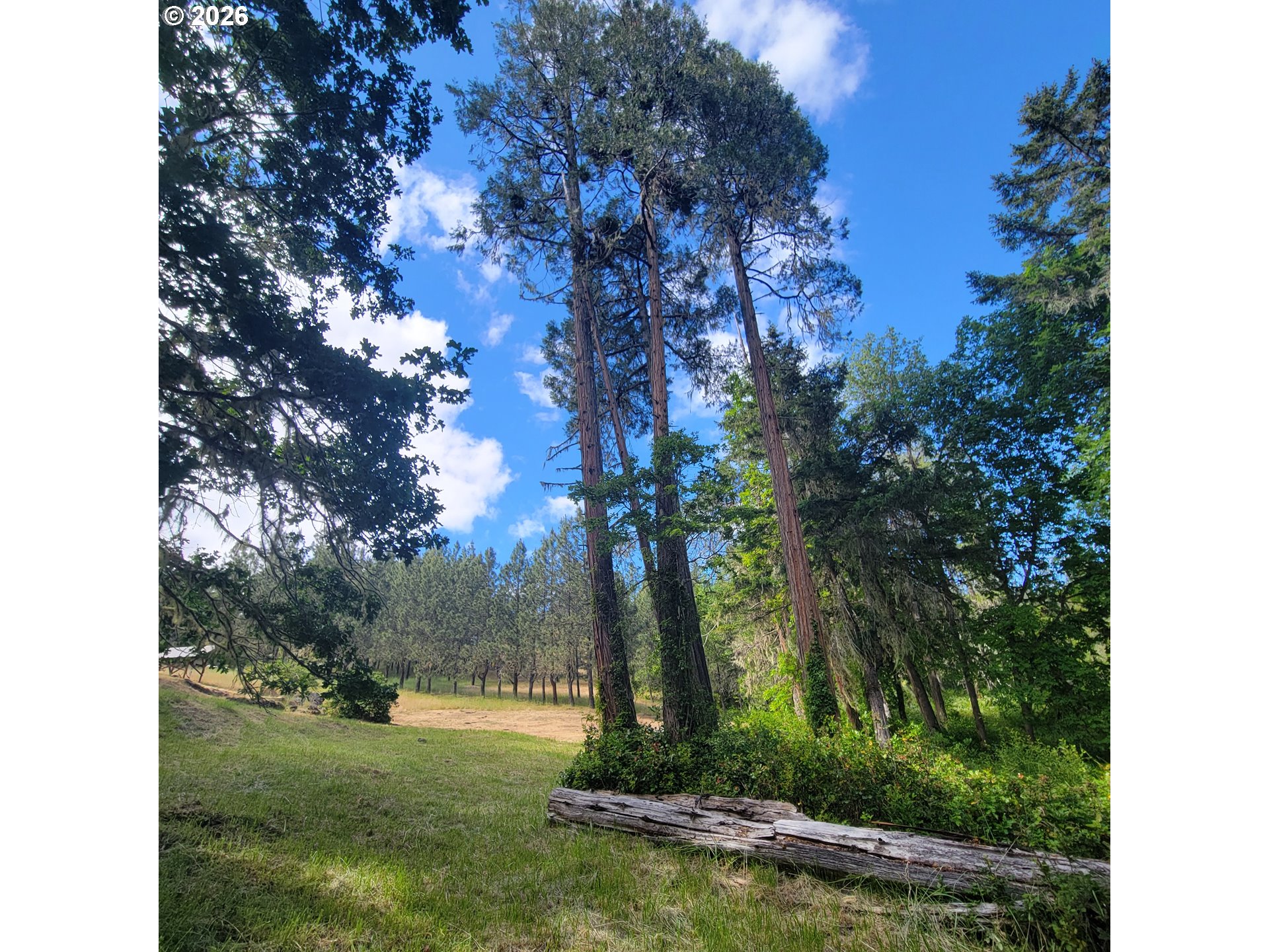 0 Rice Creek Road Winston, OR 97496 - Photo 19 of 39 Gallery Image 19
