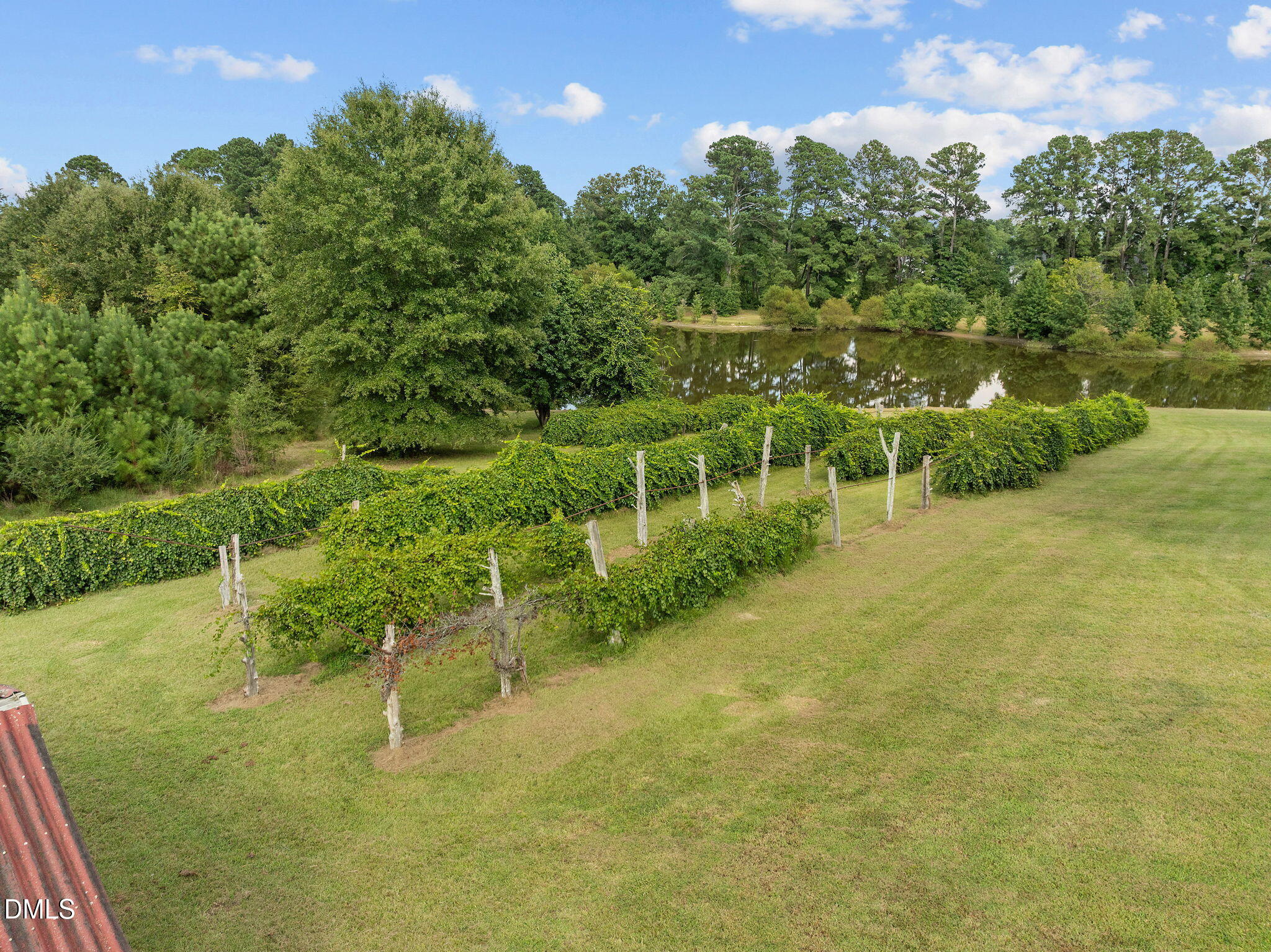 504 Parks Village Road Zebulon, NC 27597 - Photo 65 of 69 65-web-or-mls-DJI_0477