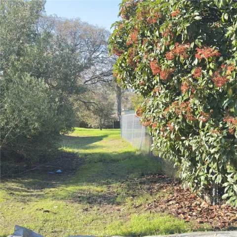 a view of a swimming pool with a yard