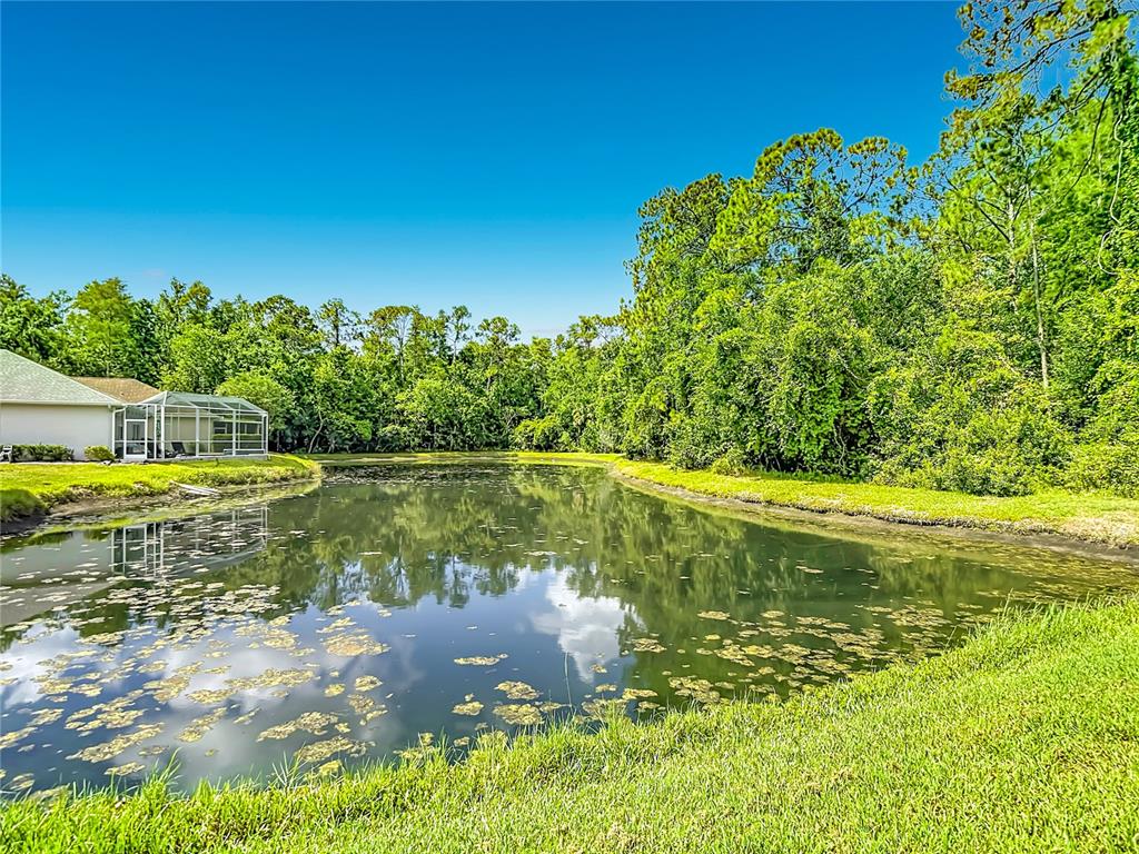 7828 Craighurst Loop New Port Richey, FL 34655 - Photo 49 of 57