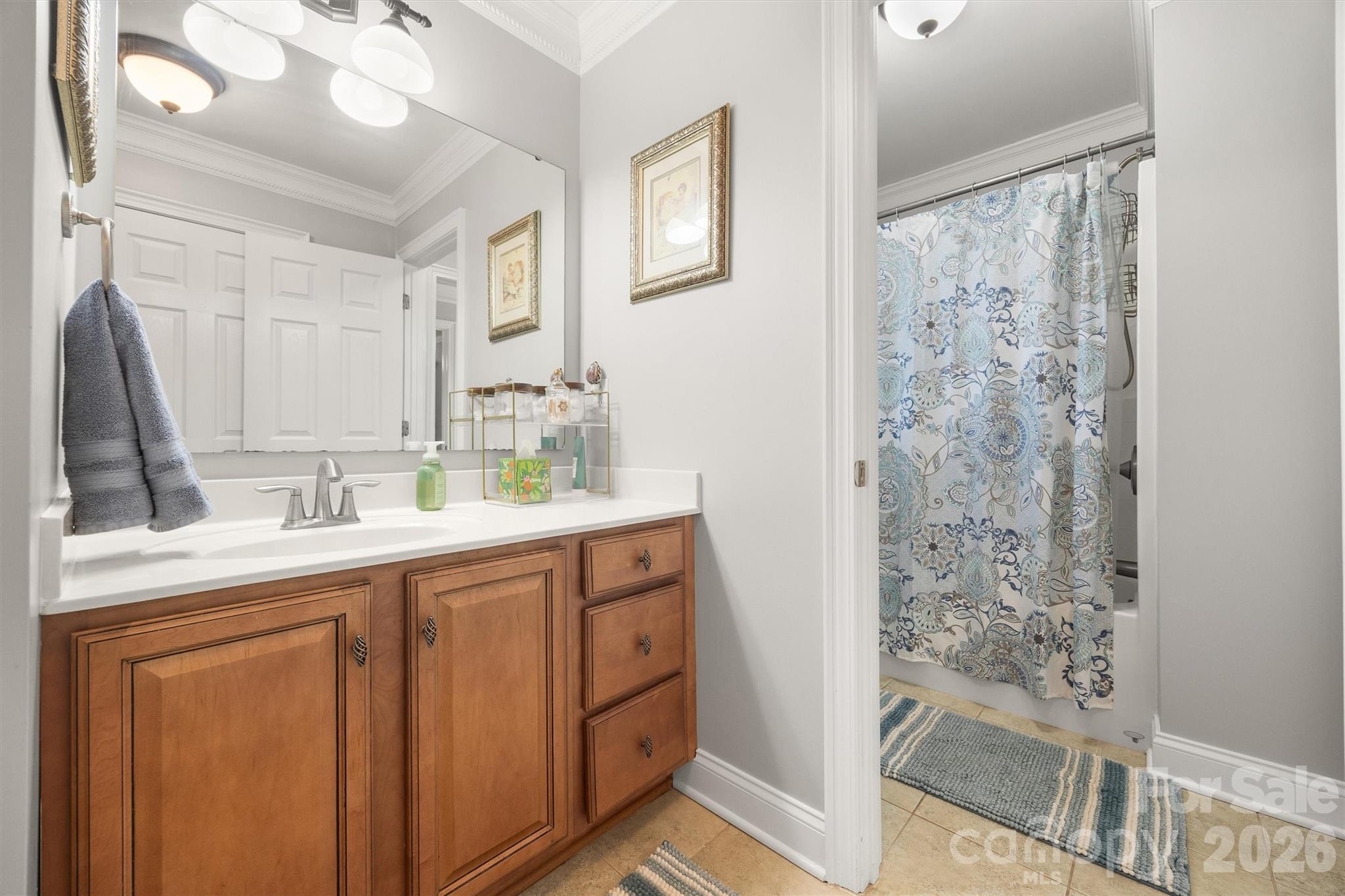 1177 Springlake Road York, SC 29745 - Photo 36 of 48 a bathroom with a sink mirror and a shower