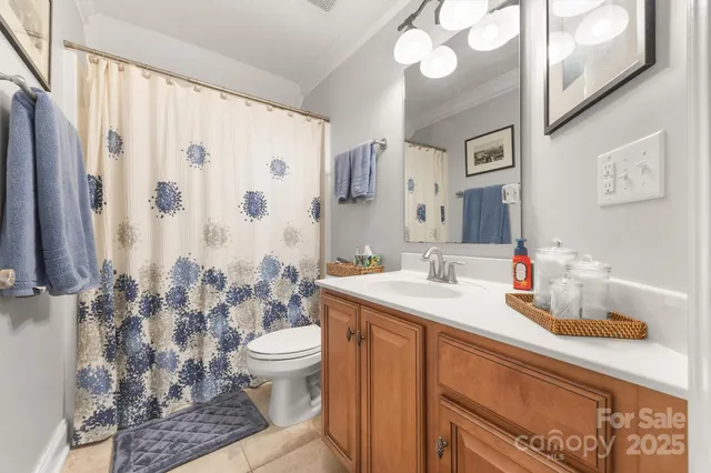 a bathroom with a sink a toilet and shower curtain