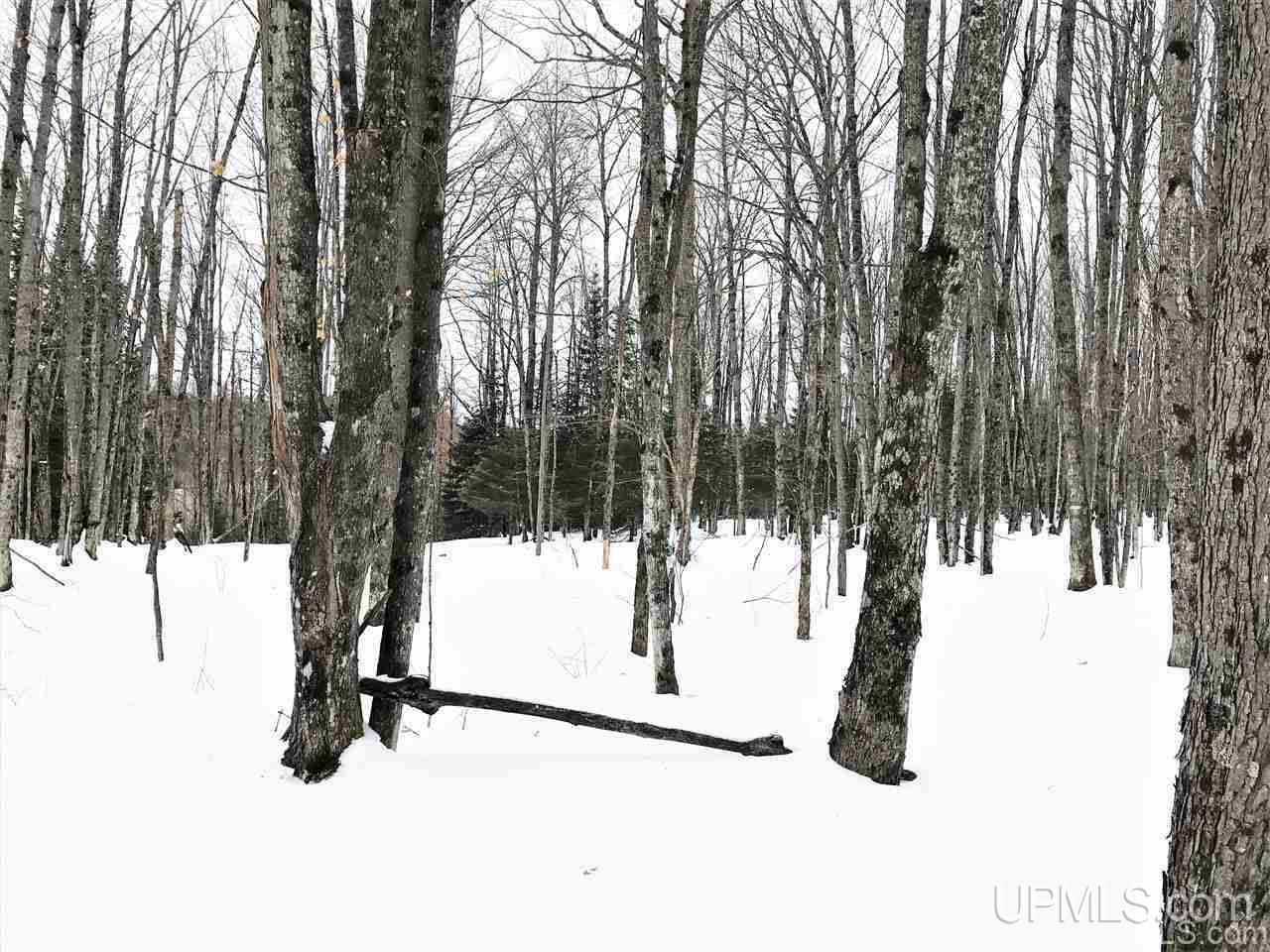 Tbd Ridgeview Road, Unit LOTS 34 & 35 Iron River, MI 49935 - Photo 31 of 45 Gallery Image 31