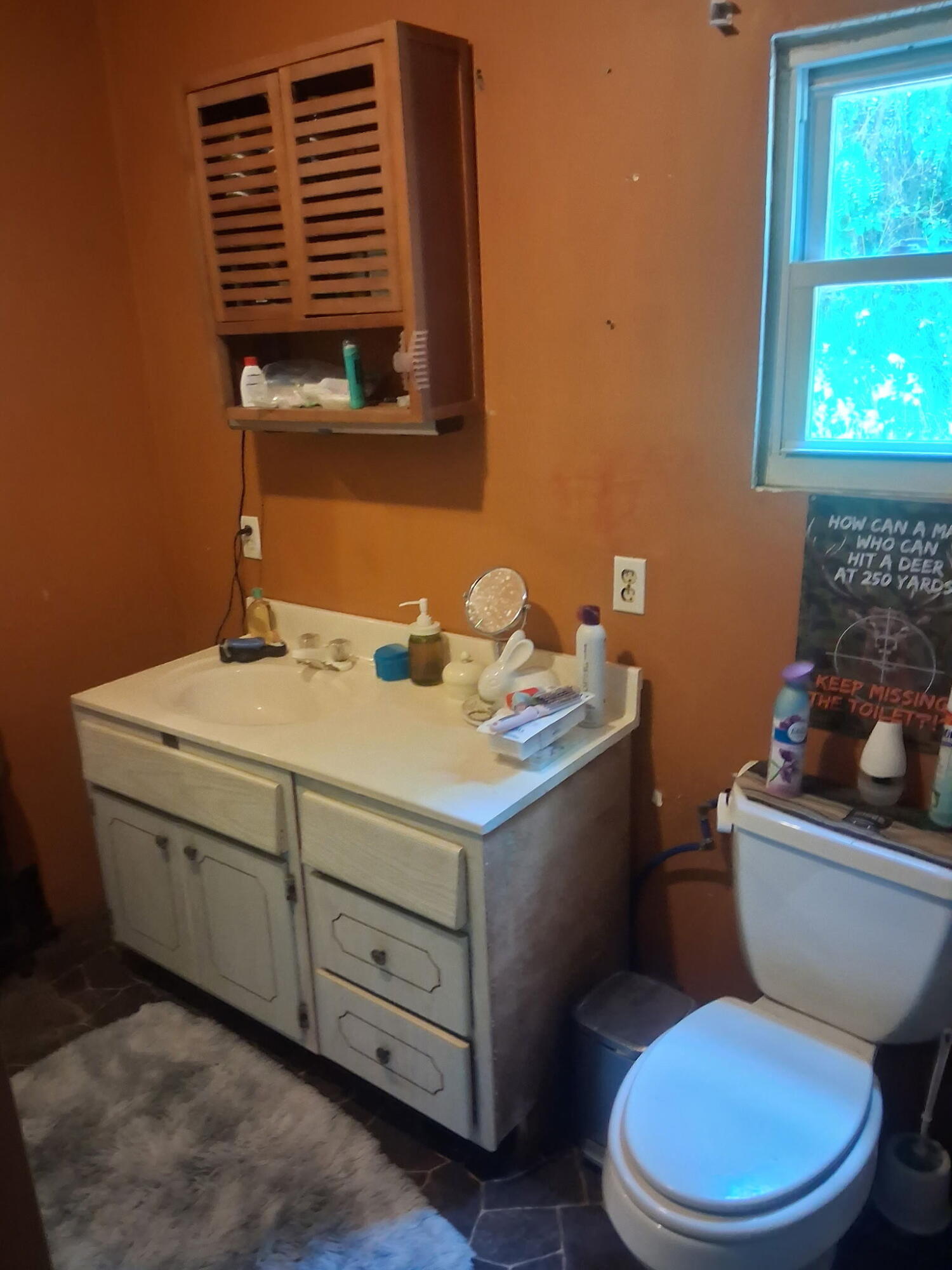 1175 Hammond Road Hastings, MI 49058 - Photo 14 of 15 1000009754