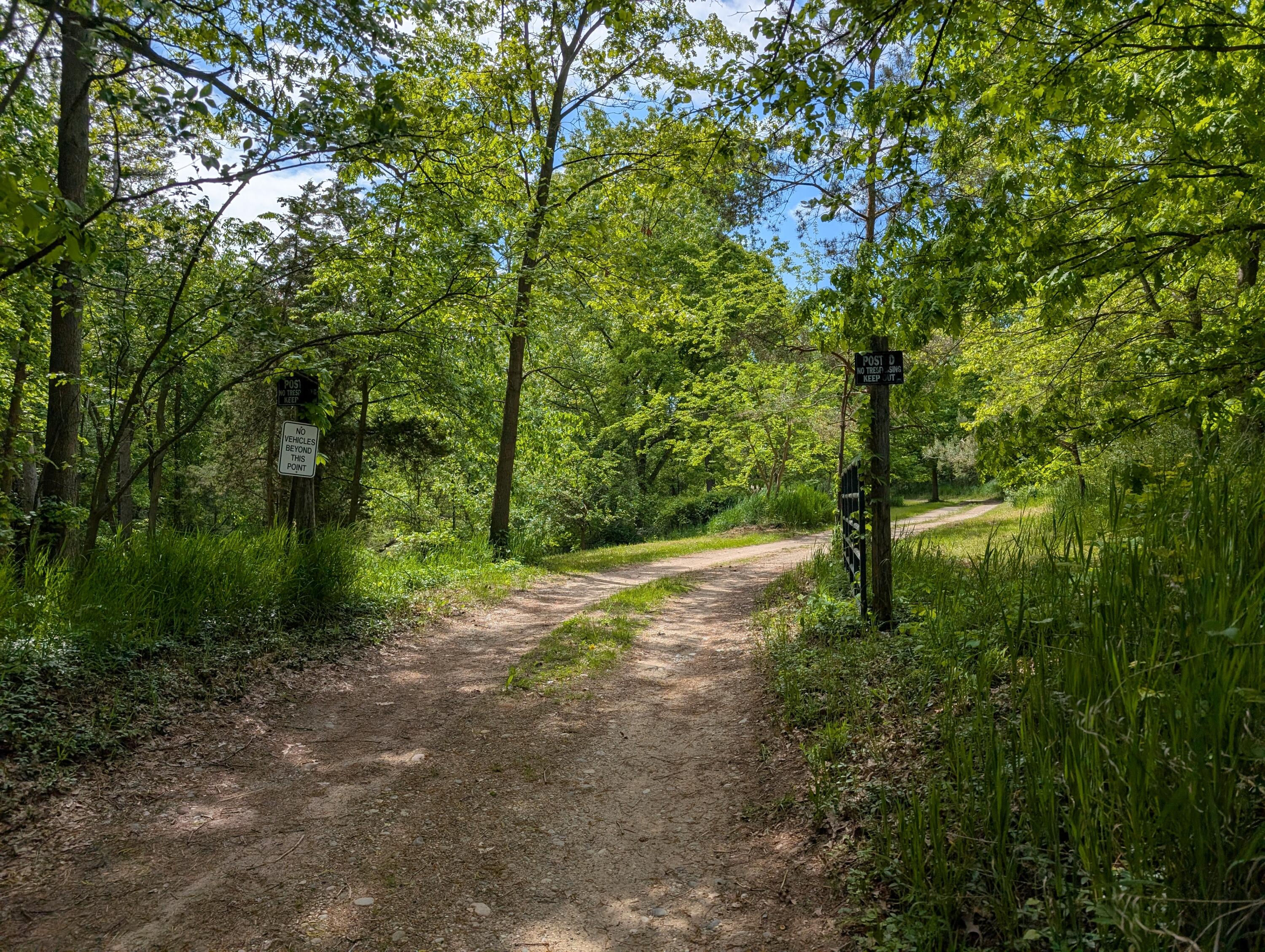 1175 Hammond Road Hastings, MI 49058 - Photo 2 of 15 22