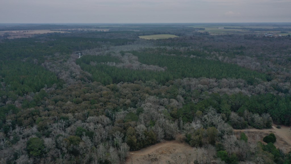 15.05 Pera Road Samson, AL 36477 - Photo 16 of 29