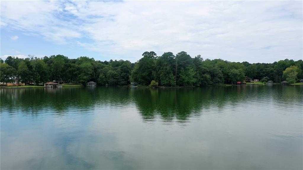 188 Lee Road Salem, AL 36874 - Photo 36 of 50 Lake View
