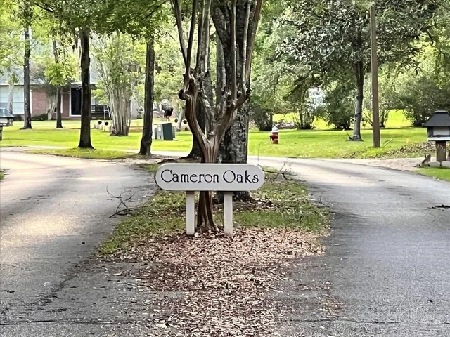 a view of a park with tree s