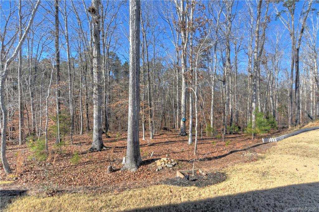 4197 Perth Road Indian Land, SC 29707 - Photo 27 of 34