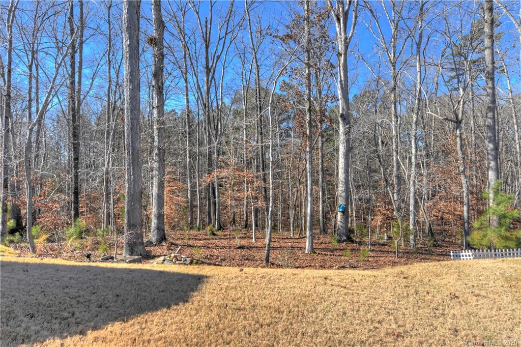 4197 Perth Road Indian Land, SC 29707 - Photo 28 of 34