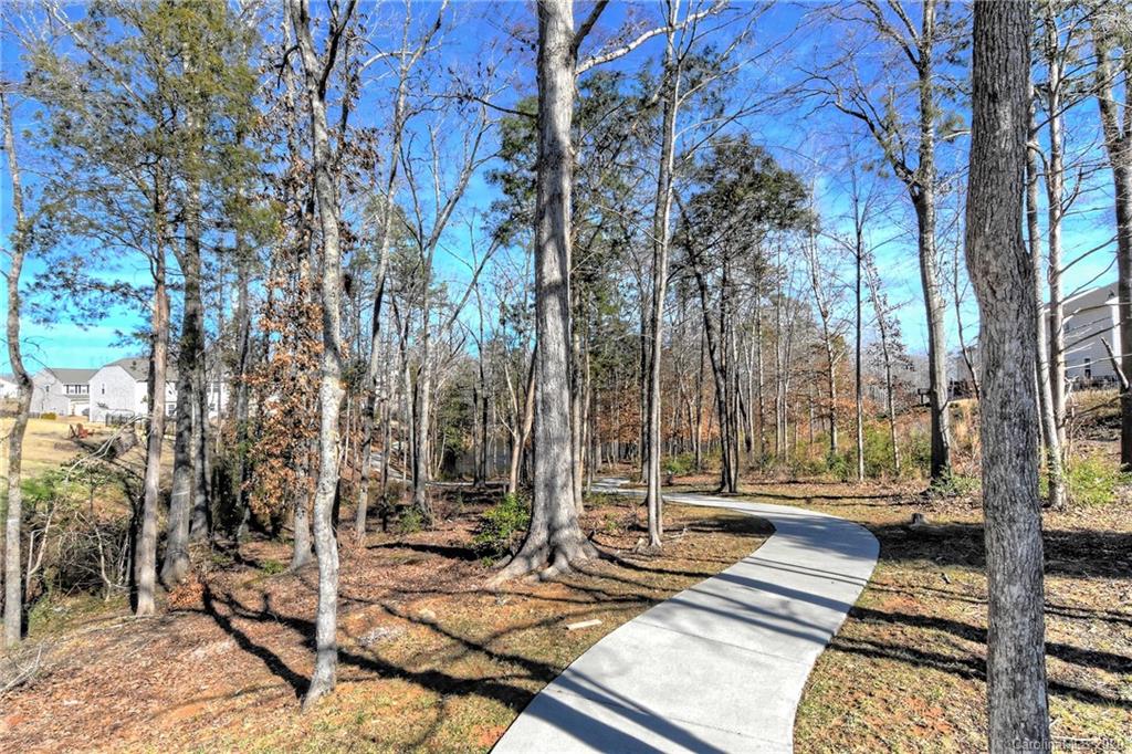 4197 Perth Road Indian Land, SC 29707 - Photo 30 of 34