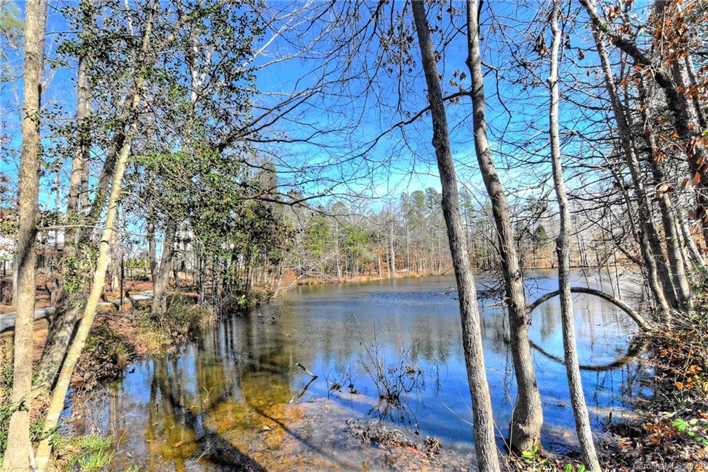 4197 Perth Road Indian Land, SC 29707 - Photo 33 of 34