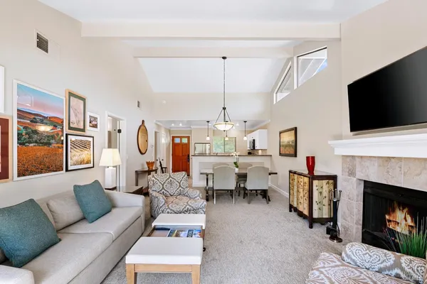 a living room with furniture a flat screen tv and a fireplace