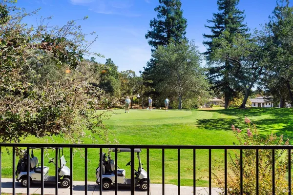 a view of a yard and trees in the background