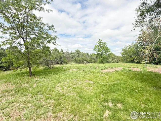 a big yard with lots of green space and plants