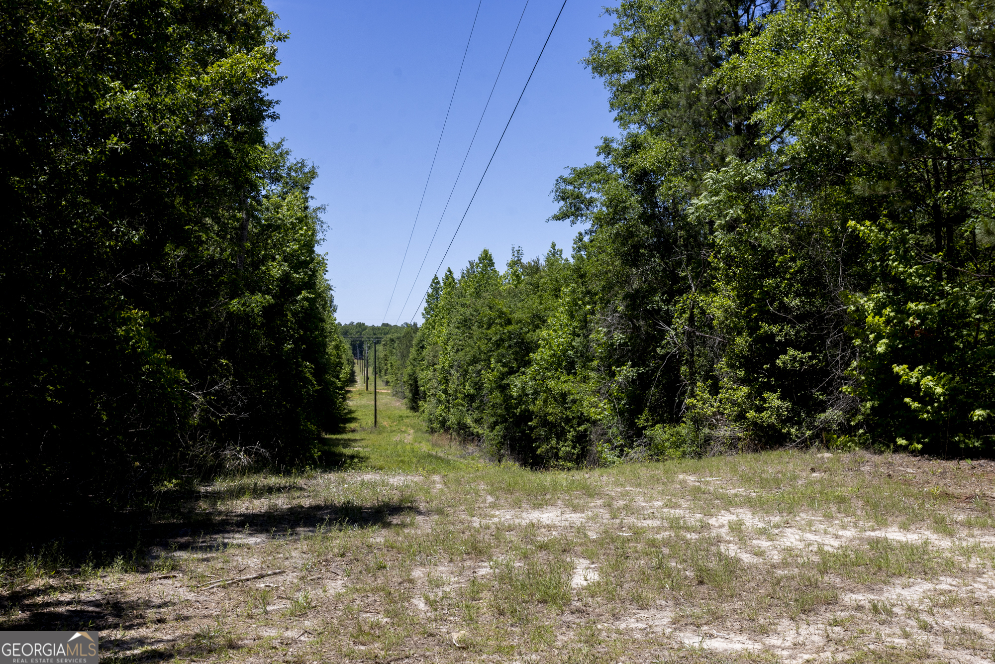 0 Old Griswoldville Road Macon, GA 31217 - Photo 33 of 62