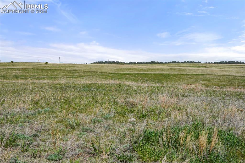 Walker Road Colorado Springs, CO 80908 - Photo 10 of 14