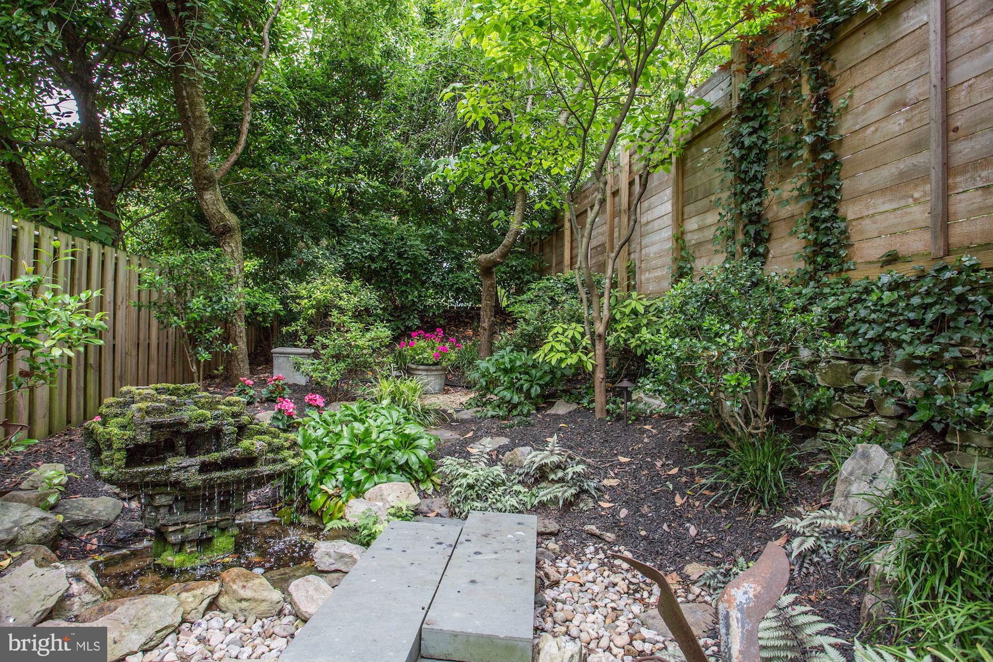 3332 Dent Place Northwest Washington, DC 20007 - Photo 26 of 46 Lush garden oasis with tranquil pond.