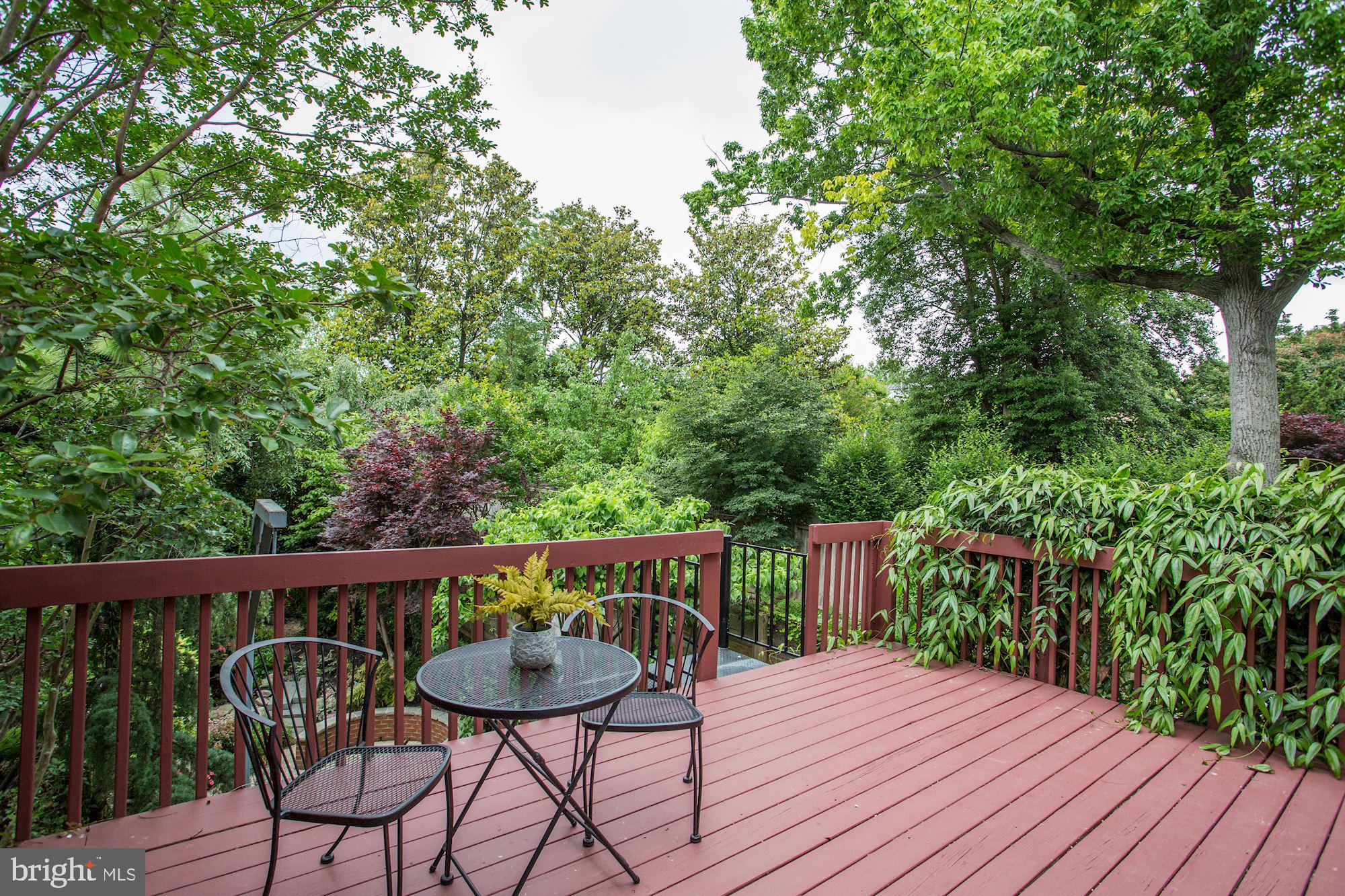 3332 Dent Place Northwest Washington, DC 20007 - Photo 4 of 46 Serene deck amidst lush greenery.