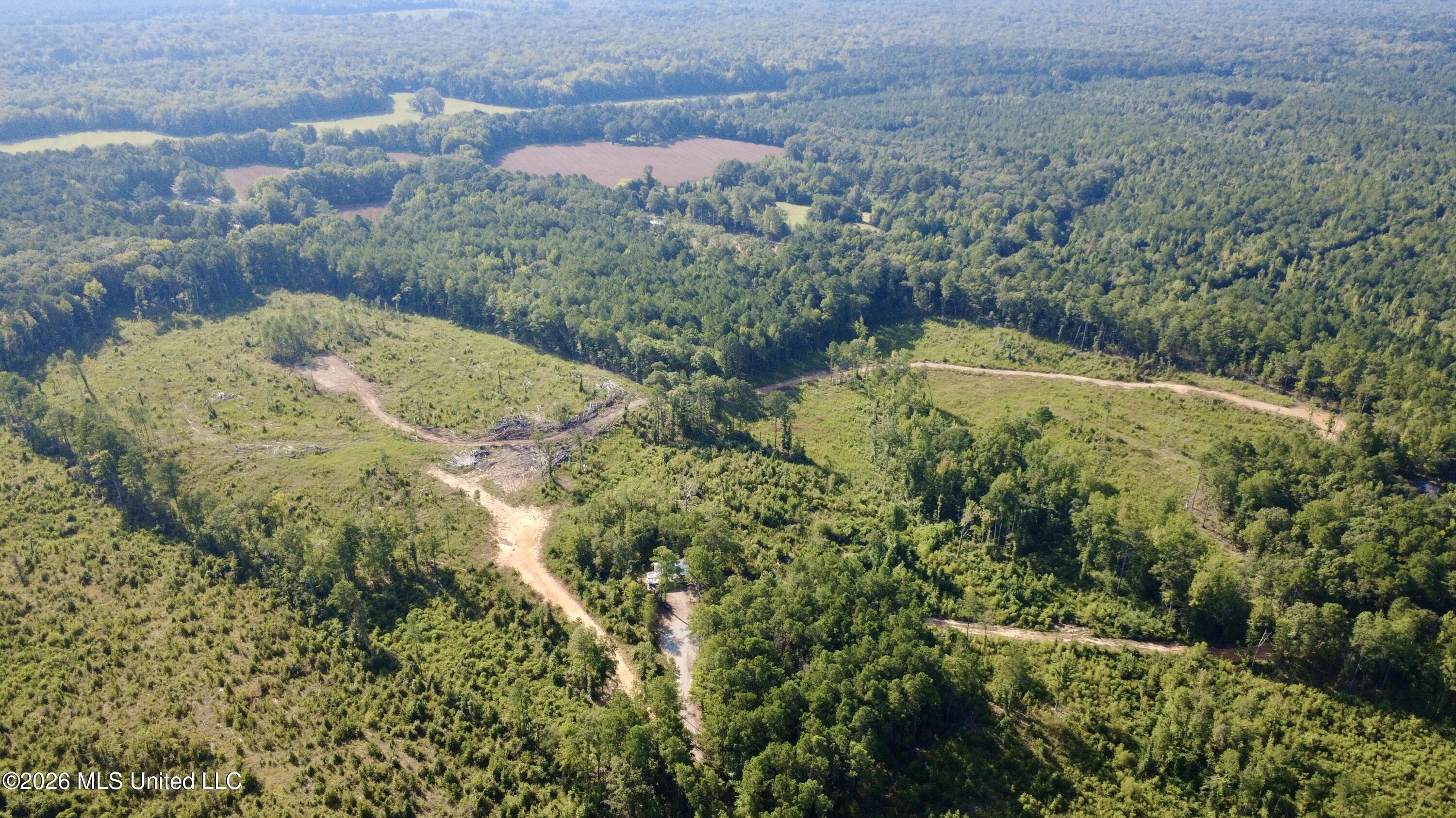 Terry Road Kosciusko, MS 39090 - Photo 4 of 17 DJI_0693