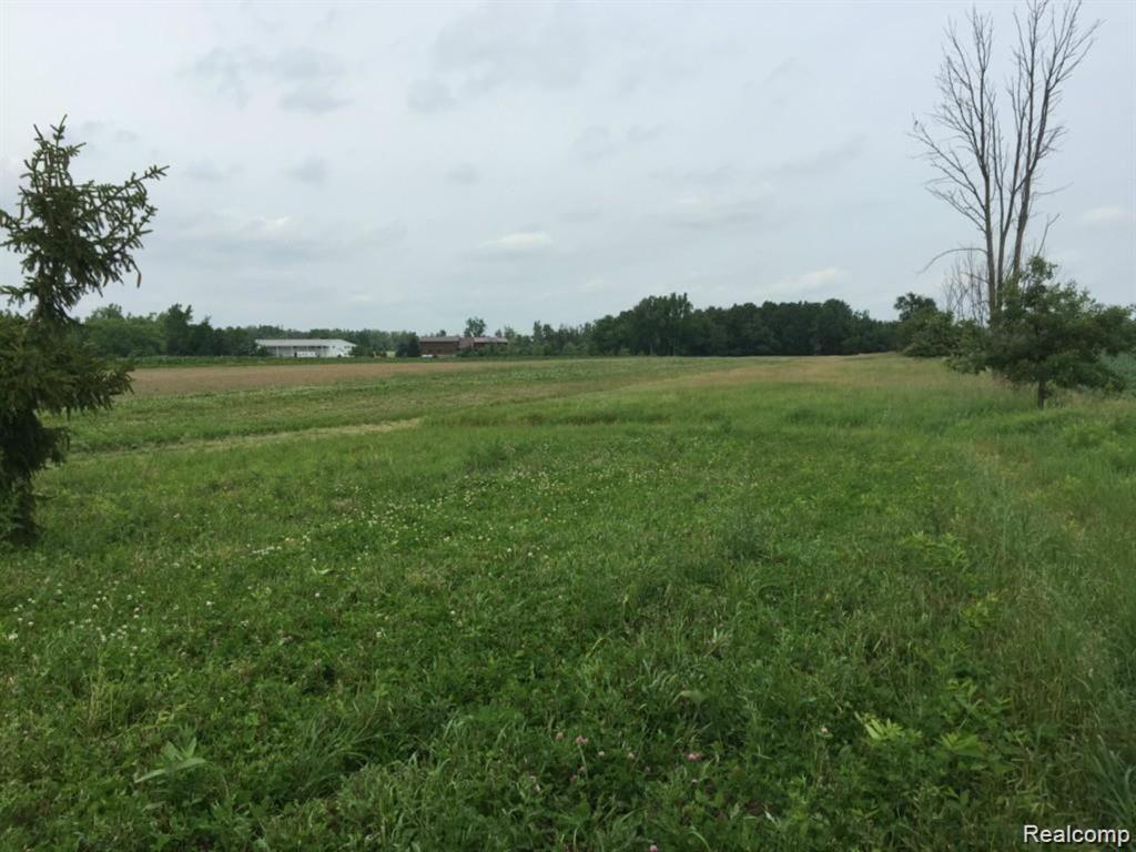 6350 Wolf Road Brown City, MI 48416 - Photo 28 of 42